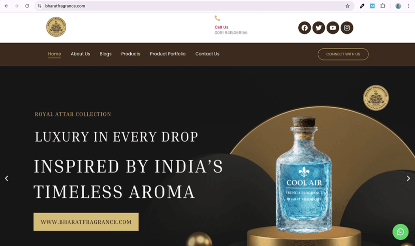 Evidence attachment for Website acchi lag rahi thi, par convert nahi kar rahi thi.